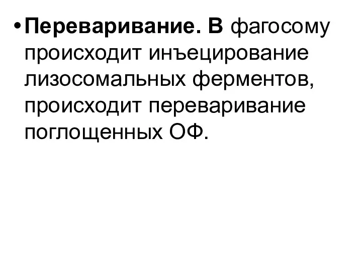 Переваривание. В фагосому происходит инъецирование лизосомальных ферментов, происходит переваривание поглощенных ОФ.