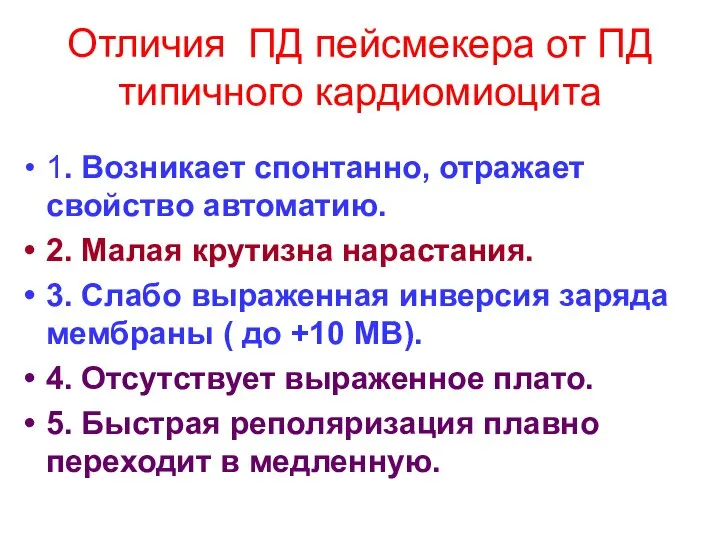 Отличия ПД пейсмекера от ПД типичного кардиомиоцита 1. Возникает спонтанно, отражает