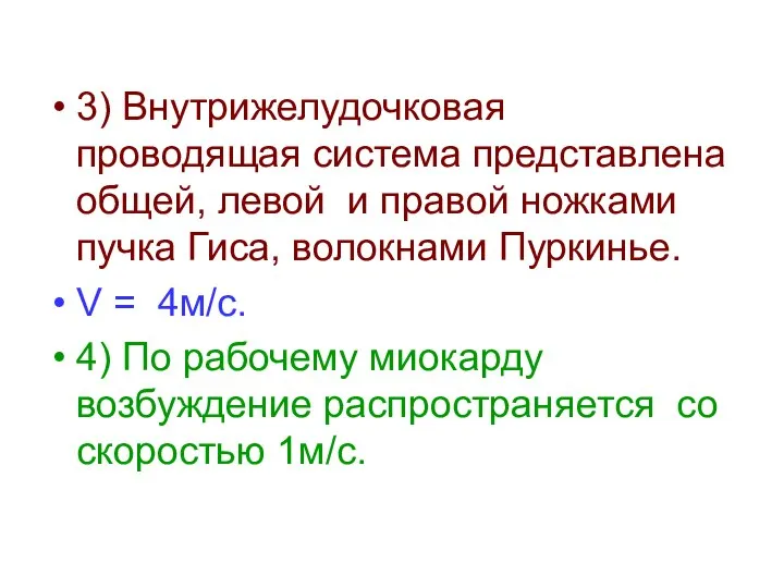 3) Внутрижелудочковая проводящая система представлена общей, левой и правой ножками пучка