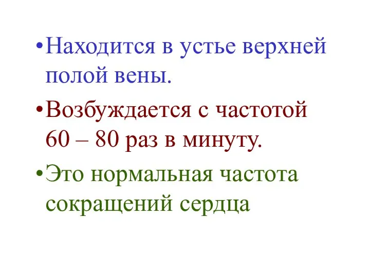 Находится в устье верхней полой вены. Возбуждается с частотой 60 –