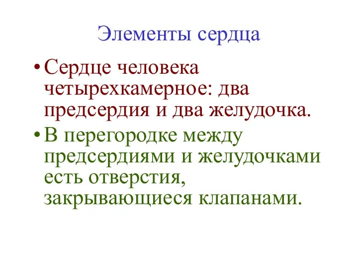 Элементы сердца Сердце человека четырехкамерное: два предсердия и два желудочка. В