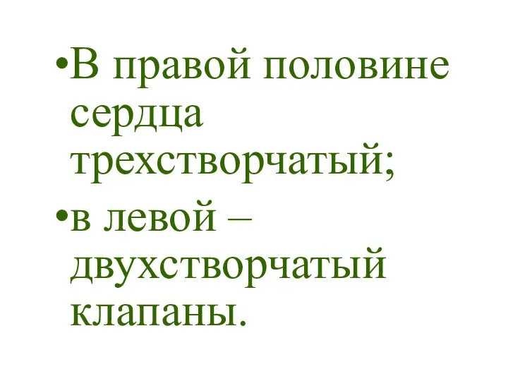 В правой половине сердца трехстворчатый; в левой – двухстворчатый клапаны.