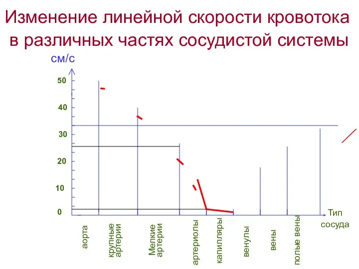 Изменение линейной скорости кровотока в различных частях сосудистой системы 0 10