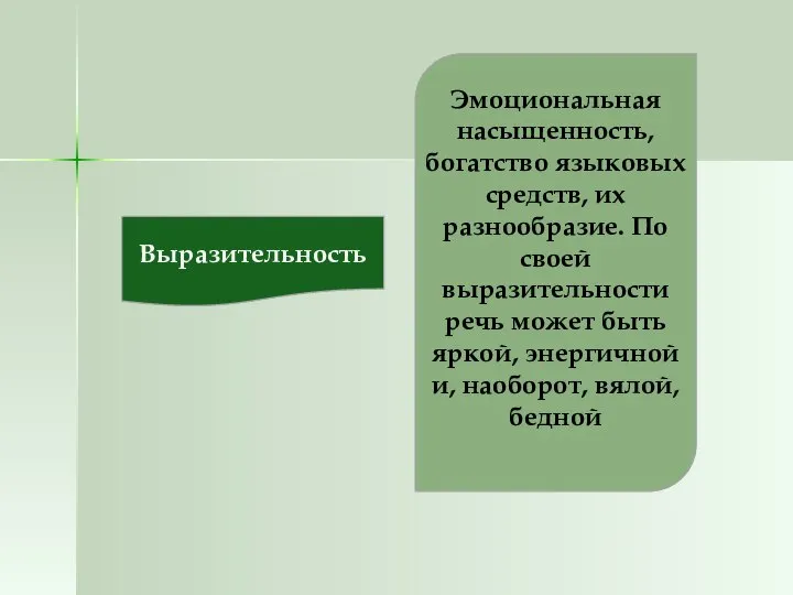 Выразительность Эмоциональная насыщенность, богатство языковых средств, их разнообразие. По своей выразительности