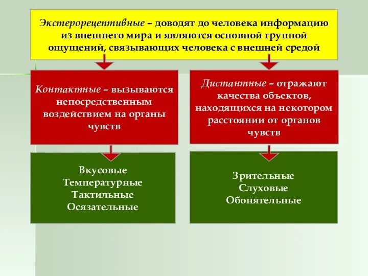 Контактные – вызываются непосредственным воздействием на органы чувств Вкусовые Температурные Тактильные