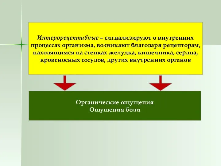 Интерорецептивные – сигнализируют о внутренних процессах организма, возникают благодаря рецепторам, находящимся