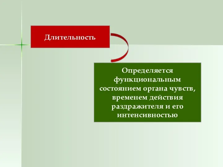 Длительность Определяется функциональным состоянием органа чувств, временем действия раздражителя и его интенсивностью