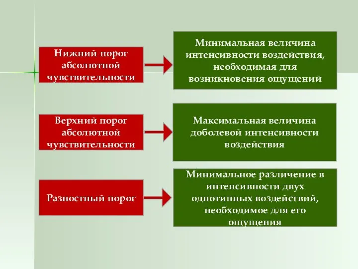 Нижний порог абсолютной чувствительности Верхний порог абсолютной чувствительности Разностный порог Минимальная