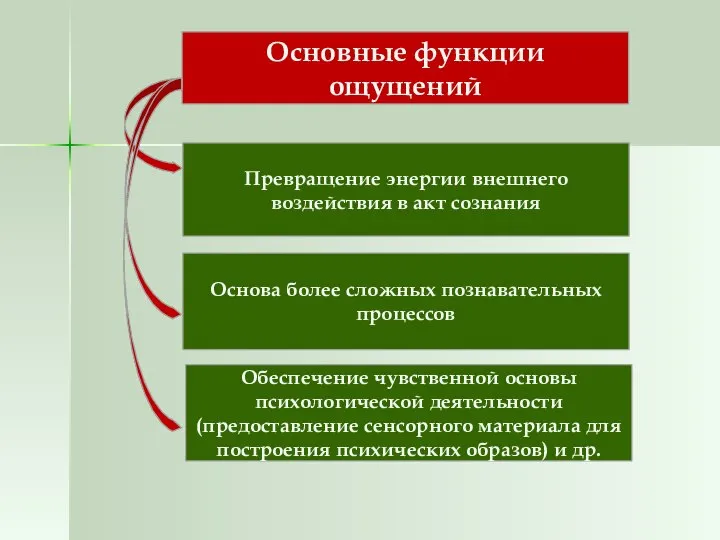 Основные функции ощущений Превращение энергии внешнего воздействия в акт сознания Основа