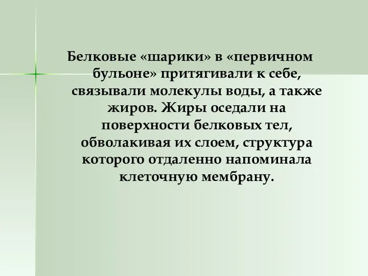 Белковые «шарики» в «первичном бульоне» притягивали к себе, связывали молекулы воды,