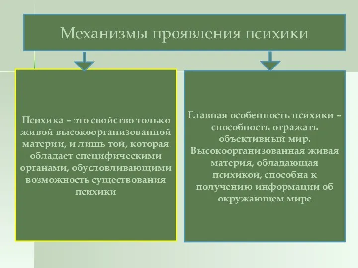 Механизмы проявления психики Психика – это свойство только живой высокоорганизованной материи,