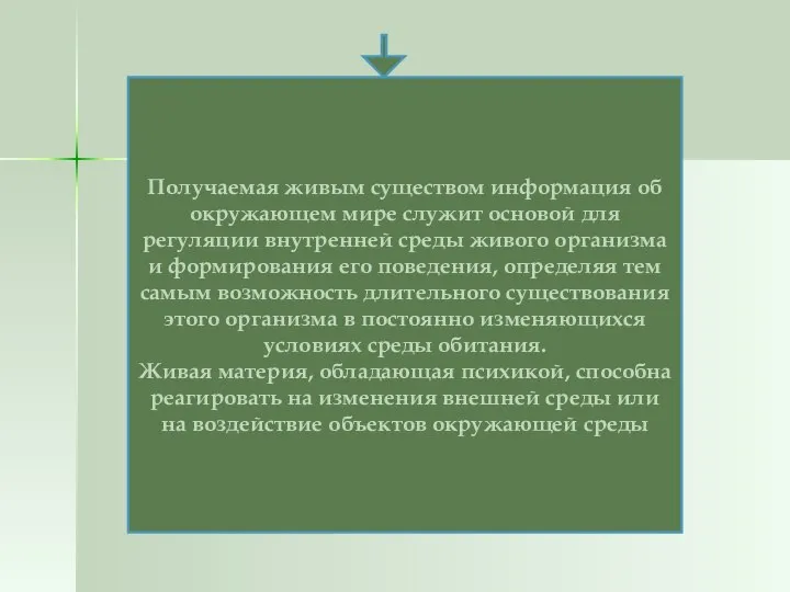 Получаемая живым существом информация об окружающем мире служит основой для регуляции