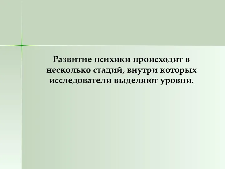 Развитие психики происходит в несколько стадий, внутри которых исследователи выделяют уровни.