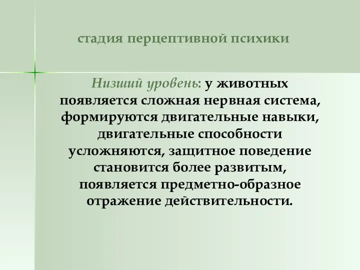 стадия перцептивной психики Низший уровень: у животных появляется сложная нервная система,