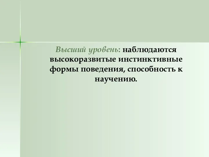 Высший уровень: наблюдаются высокоразвитые инстинктивные формы поведения, способность к научению.