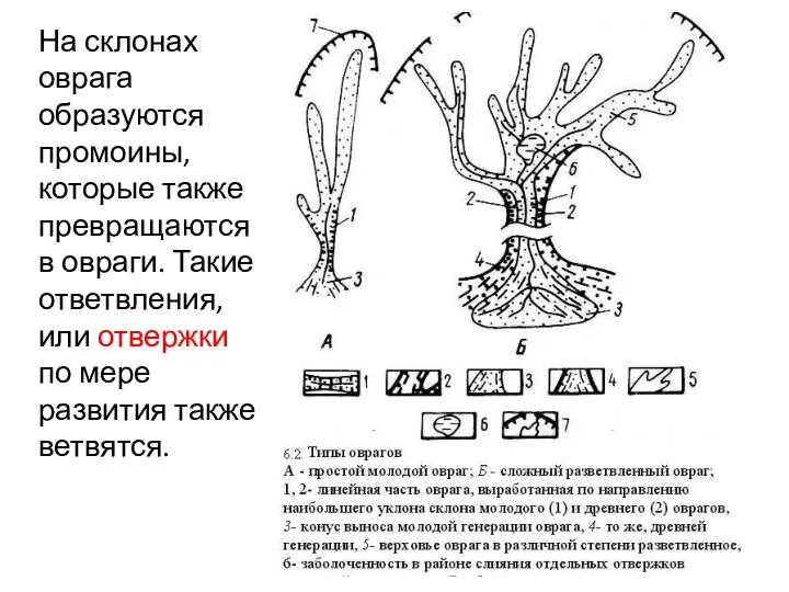 На склонах оврага образуются промоины, которые также превращаются в овраги. Такие