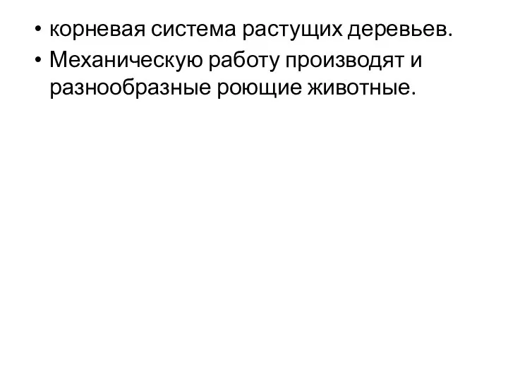 корневая система растущих деревьев. Механическую работу производят и разнообразные роющие животные.