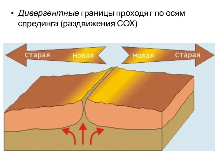 Дивергентные границы проходят по осям спрединга (раздвижения СОХ)