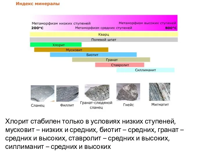 Хлорит стабилен только в условиях низких ступеней, мусковит – низких и