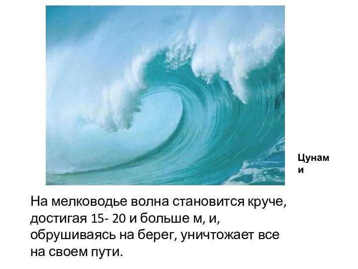 Цунами На мелководье волна становится круче, достигая 15- 20 и больше