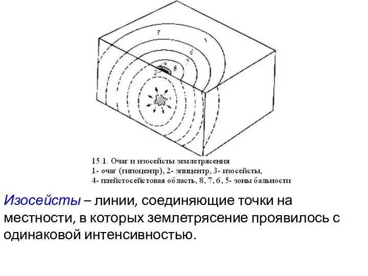 Изосейсты – линии, соединяющие точки на местности, в которых землетрясение проявилось с одинаковой интенсивностью.