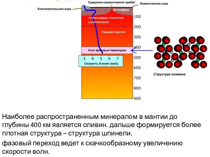 Наиболее распространенным минералом в мантии до глубины 400 км является оливин.