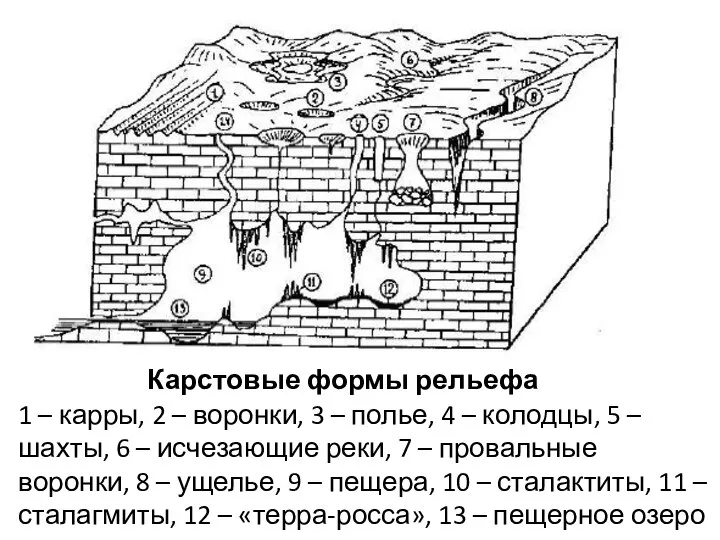 Карстовые формы рельефа 1 – карры, 2 – воронки, 3 –