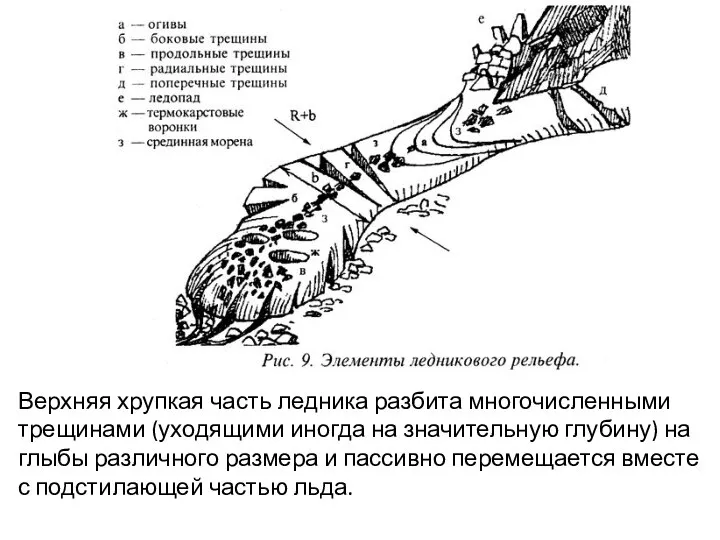 Верхняя хрупкая часть ледника разбита многочисленными трещинами (уходящими иногда на значительную