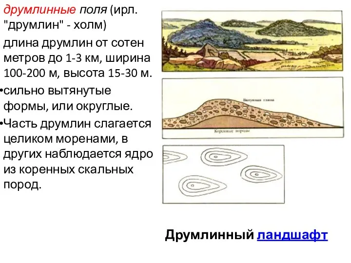 Друмлинный ландшафт друмлинные поля (ирл. "друмлин" - холм) длина друмлин от