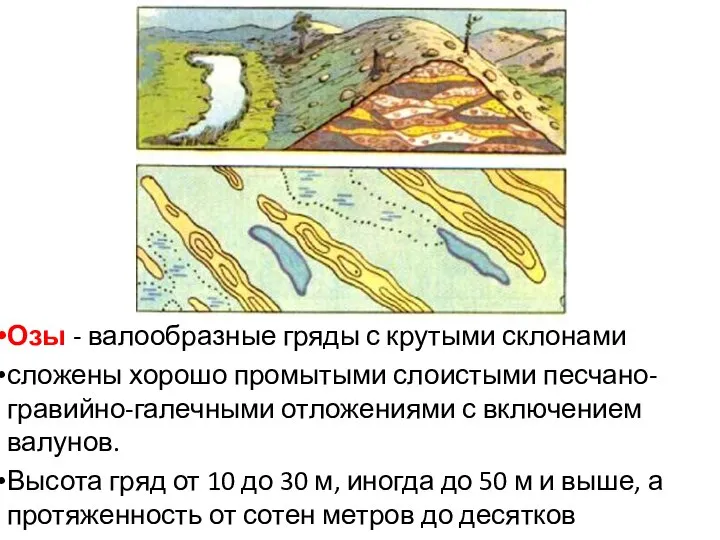 Озы - валообразные гряды с крутыми склонами сложены хорошо промытыми слоистыми