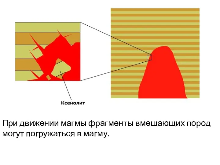 При движении магмы фрагменты вмещающих пород могут погружаться в магму.