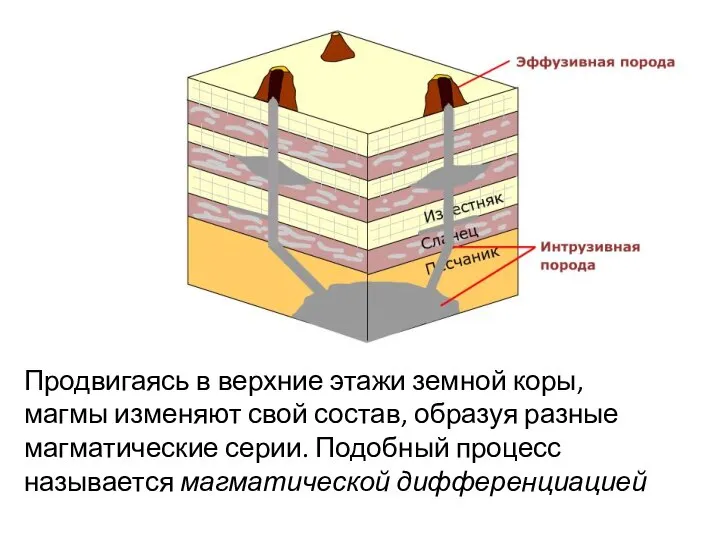 Продвигаясь в верхние этажи земной коры, магмы изменяют свой состав, образуя