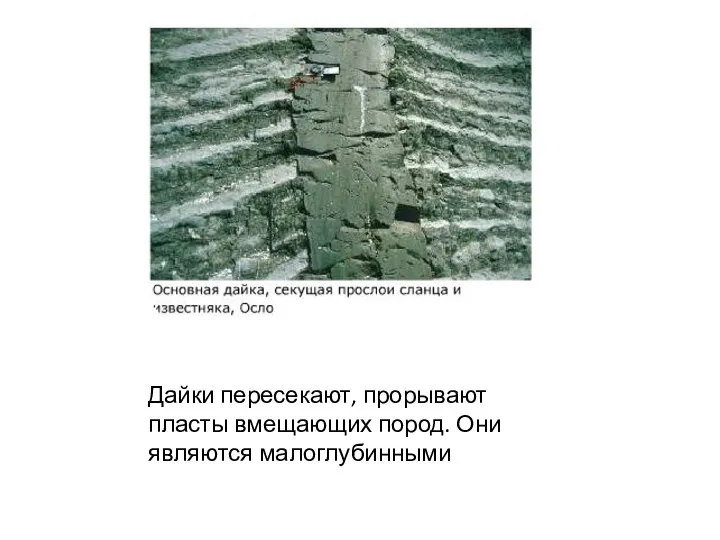 Дайки пересекают, прорывают пласты вмещающих пород. Они являются малоглубинными