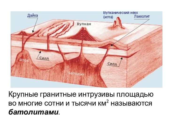 Крупные гранитные интрузивы площадью во многие сотни и тысячи км2 называются батолитами.