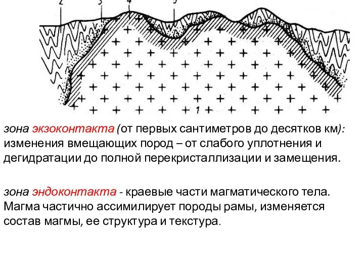 зона экзоконтакта (от первых сантиметров до десятков км): изменения вмещающих пород