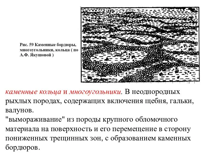 каменные кольца и многоугольники. В неоднородных рыхлых породах, содержащих включения щебня,