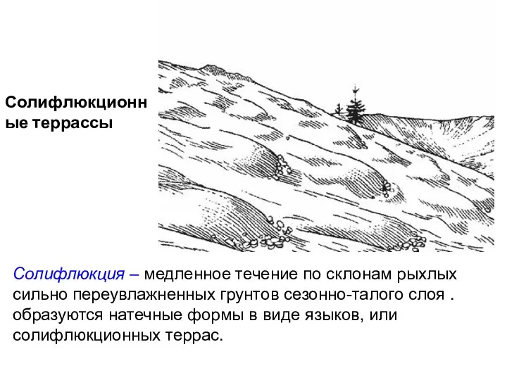 Солифлюкционные террассы Солифлюкция – медленное течение по склонам рыхлых сильно переувлажненных