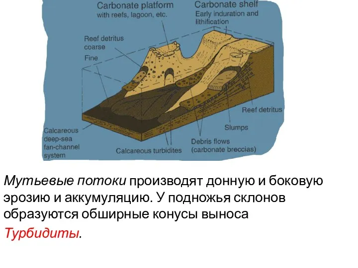 Мутьевые потоки производят донную и боковую эрозию и аккумуляцию. У подножья