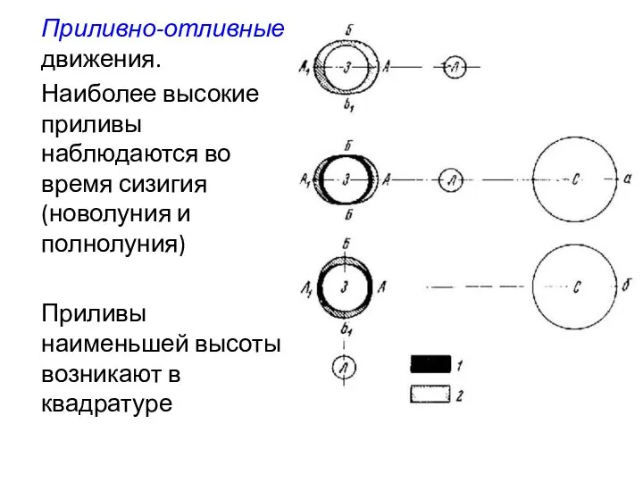 Приливно-отливные движения. Наиболее высокие приливы наблюдаются во время сизигия (новолуния и