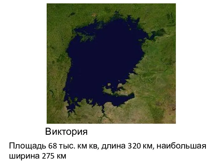 Виктория Площадь 68 тыс. км кв, длина 320 км, наибольшая ширина 275 км