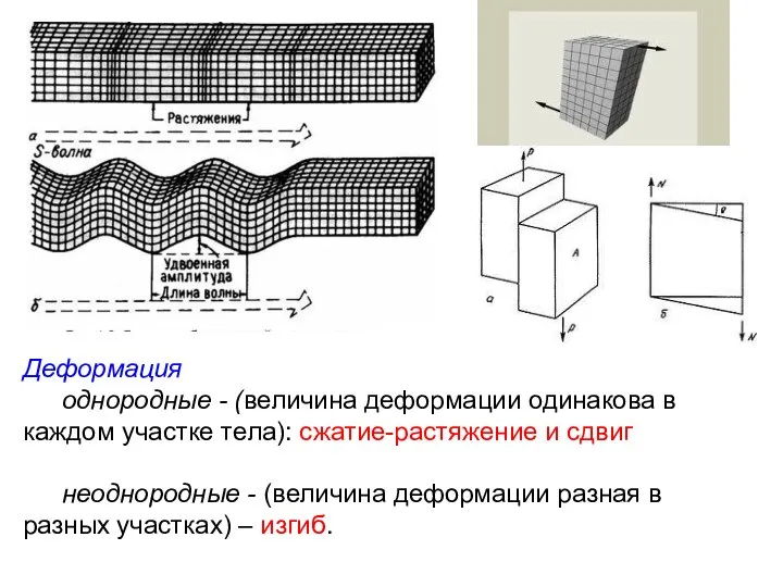 Деформация однородные - (величина деформации одинакова в каждом участке тела): сжатие-растяжение