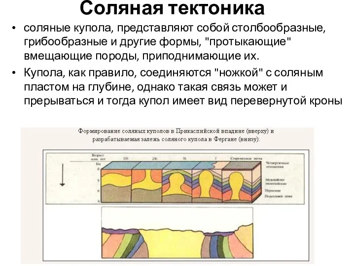 Соляная тектоника соляные купола, представляют собой столбообразные, грибообразные и другие формы,