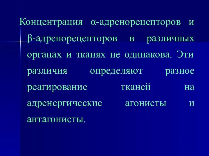 Концентрация α-адренорецепторов и β-адренорецепторов в различных органах и тканях не одинакова.