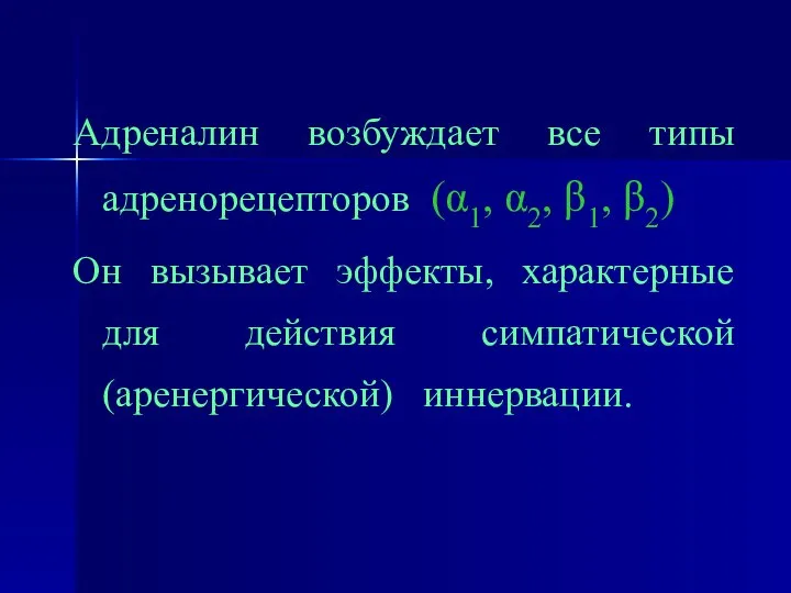 Адреналин возбуждает все типы адренорецепторов (α1, α2, β1, β2) Он вызывает