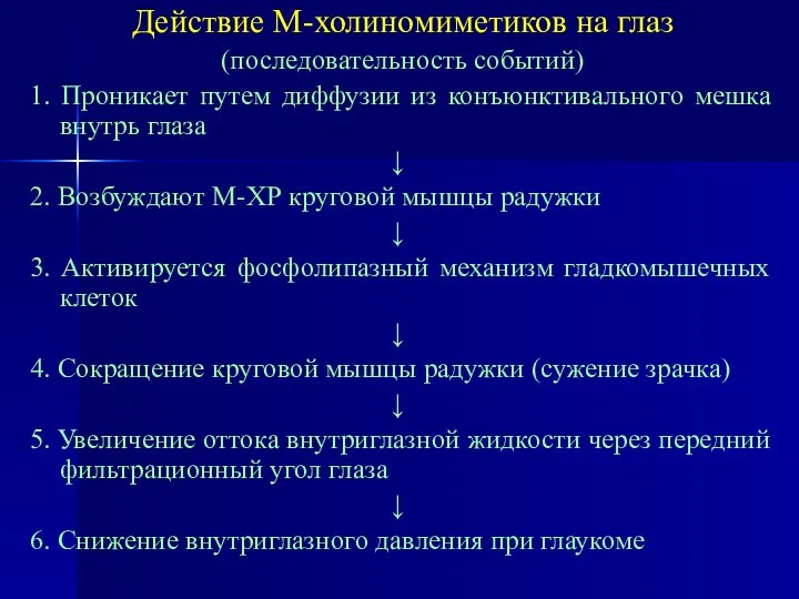 Действие М-холиномиметиков на глаз (последовательность событий) 1. Проникает путем диффузии из