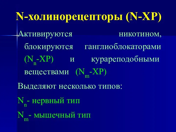 N-холинорецепторы (N-ХР) Активируются никотином, блокируются ганглиоблокаторами (Nn-ХР) и курареподобными веществами (Nm-ХР)