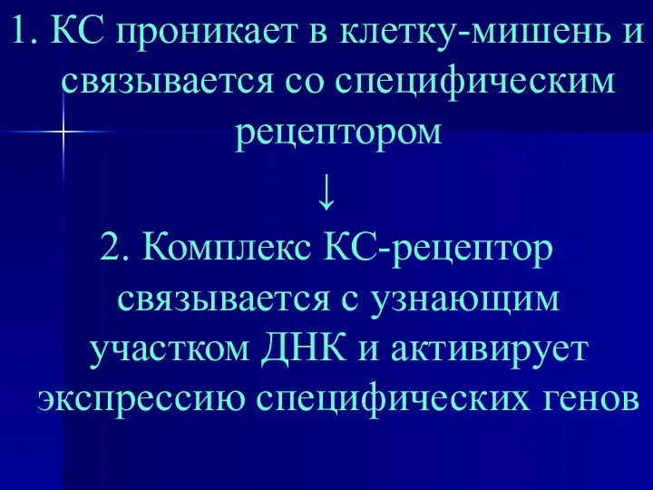 1. КС проникает в клетку-мишень и связывается со специфическим рецептором ↓