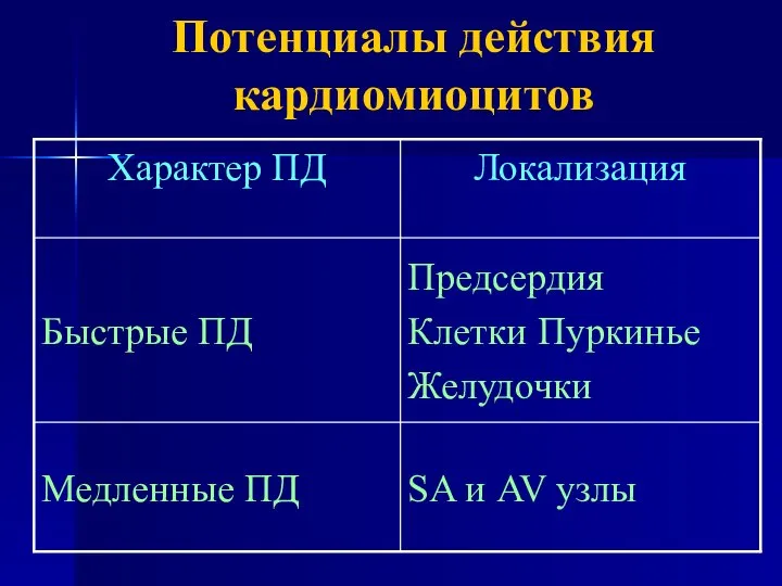 Потенциалы действия кардиомиоцитов