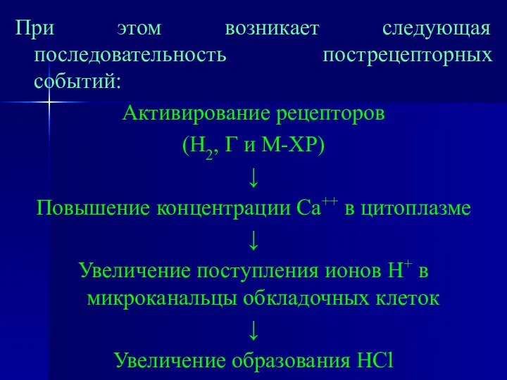 При этом возникает следующая последовательность пострецепторных событий: Активирование рецепторов (Н2, Г