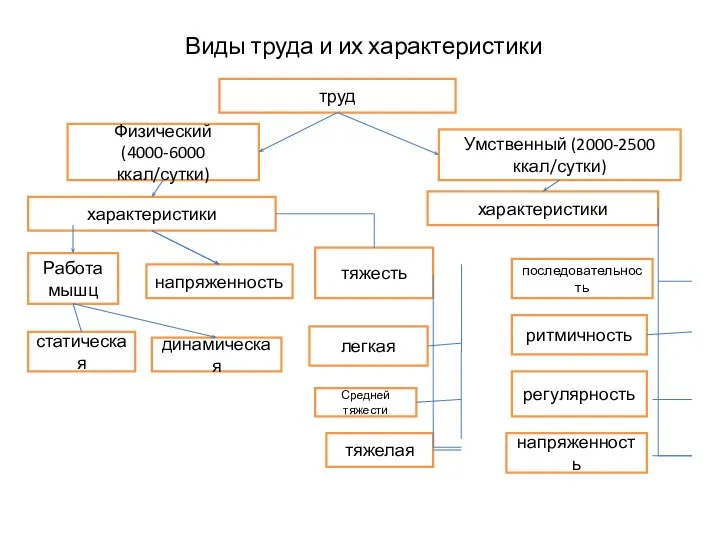 Виды труда и их характеристики труд Физический (4000-6000 ккал/сутки) Умственный (2000-2500